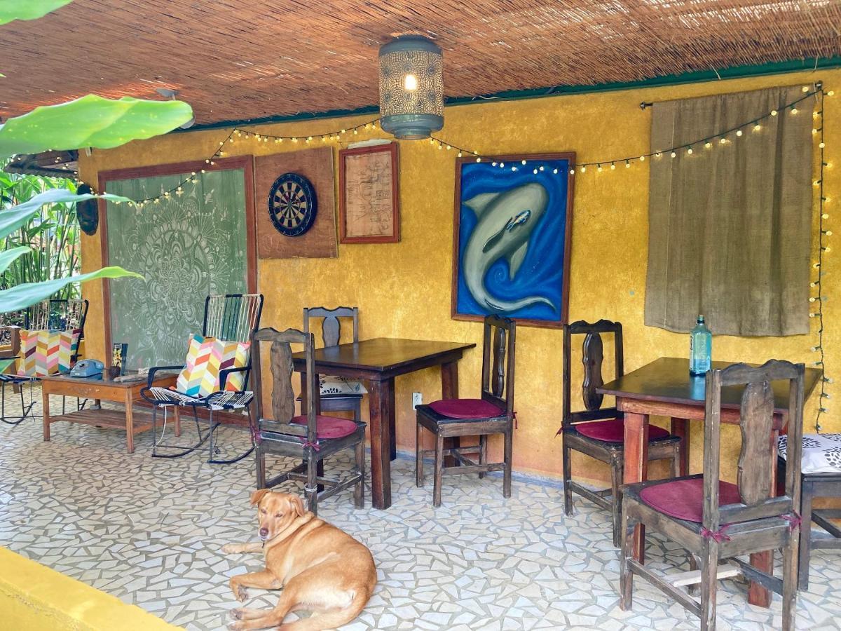 Montana Linda Hostel Orosí Eksteriør billede